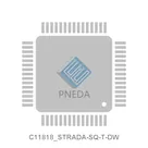 C11818_STRADA-SQ-T-DW