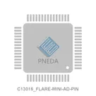 C13016_FLARE-MINI-AD-PIN