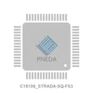 C15109_STRADA-SQ-FS3