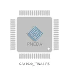 CA11020_TINA2-RS