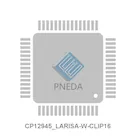 CP12945_LARISA-W-CLIP16