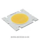 BXRA-50C5300-H-00