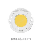 BXRC-35G4000-C-73