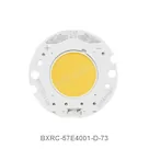 BXRC-57E4001-D-73