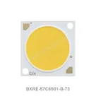 BXRE-57C6501-B-73
