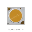 BXRH-30G6000-G-23