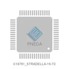 C16751_STRADELLA-16-T2
