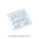 CS16515_SITARA-2X2-T2