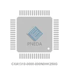 CXA1310-0000-000N0HK250G