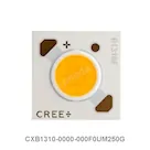 CXB1310-0000-000F0UM250G