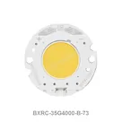 BXRC-35G4000-B-73
