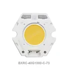 BXRC-40G1000-C-73