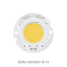 BXRC-65C4001-B-74