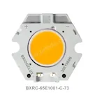 BXRC-65E1001-C-73