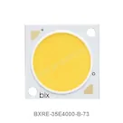 BXRE-35E4000-B-73