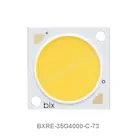 BXRE-35G4000-C-73