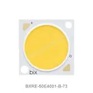 BXRE-50E4001-B-73