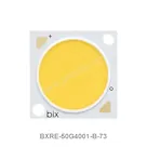 BXRE-50G4001-B-73