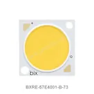 BXRE-57E4001-B-73