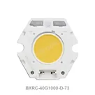 BXRC-40G1000-D-73