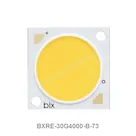 BXRE-30G4000-B-73