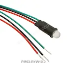 PM53-RYW10.0
