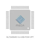 GLT24064R-1U-USB-FGW-VPT