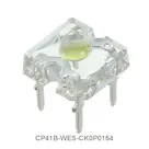 CP41B-WES-CK0P0154