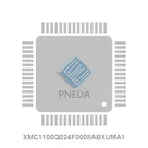 XMC1100Q024F0008ABXUMA1