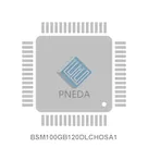 BSM100GB120DLCHOSA1