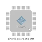 GWM120-0075P3-SMD SAM