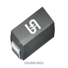 HS2MA M2G