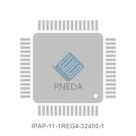 IPAP-11-1REG4-32480-1