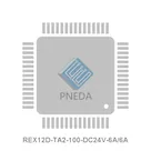 REX12D-TA2-100-DC24V-6A/6A