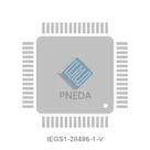 IEGS1-28496-1-V