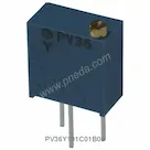 PV36Y101C01B00